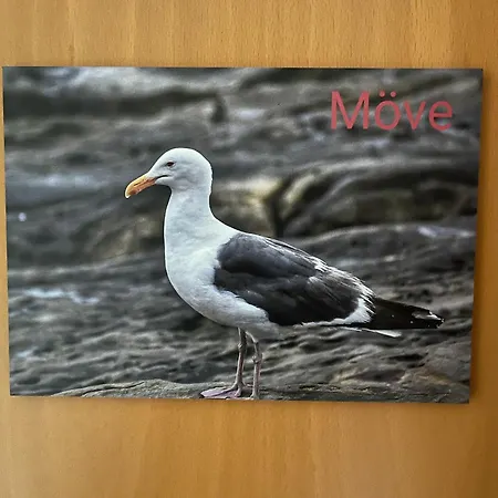 Lejlighed Ostseedomizil 